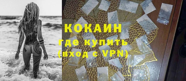 индика Рославль